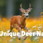 150+ Cute, Cool, and Unique Deer Names
