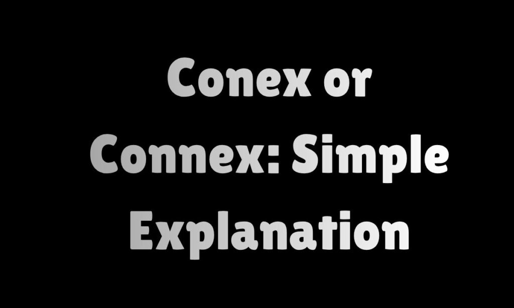 Conex or Connex: Simple Explanation + Real Examples
