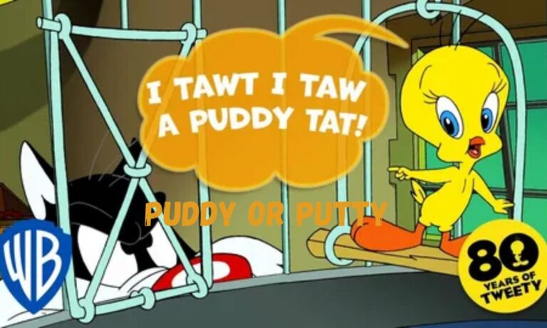 Puddy Or Putty Which One Is Correct 2026 guide