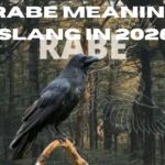 Rabe Meaning Slang in 2026 The Real Definition, Hidden Context