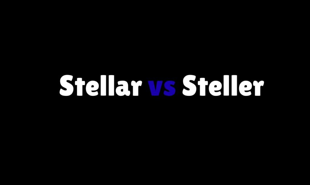 Why Is Stellar vs Steller Important in 2026