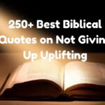 250+ Best Biblical Quotes on Not Giving Up Uplifting