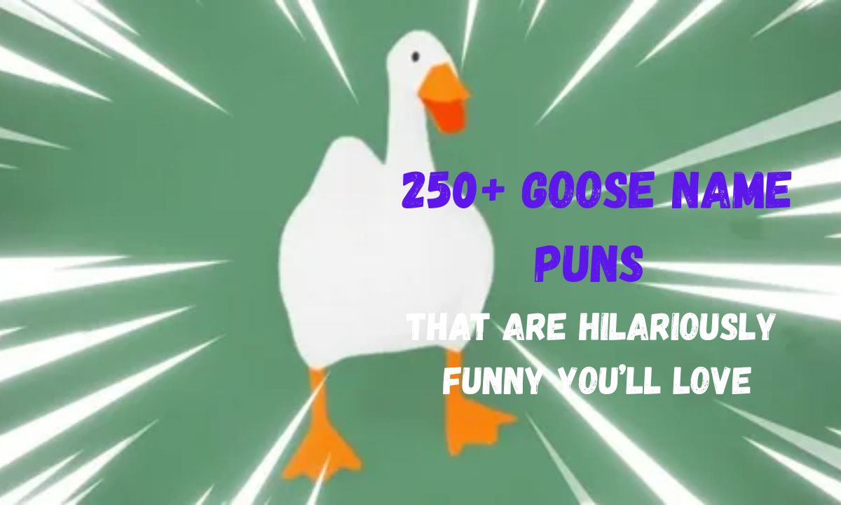 250+ Goose Name Puns That Are Hilariously Funny You’ll Love