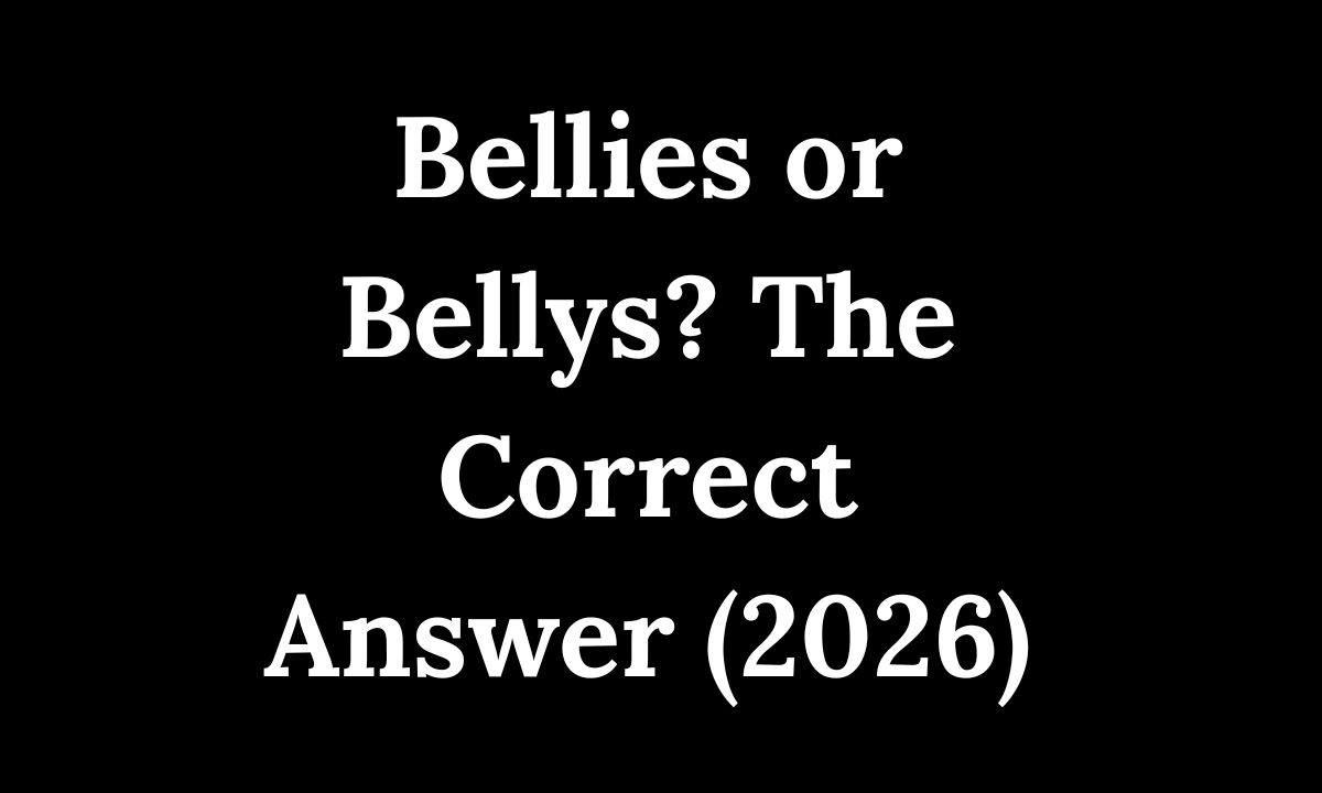 Bellies or Bellys The Correct Answer (2026)