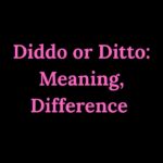 Diddo or Ditto Meaning, Difference & Correct Usage 2026