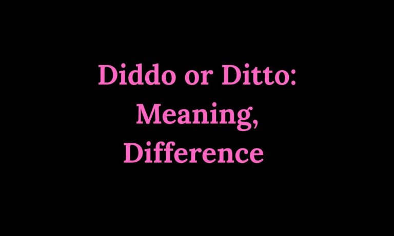 Diddo or Ditto Meaning, Difference & Correct Usage 2026