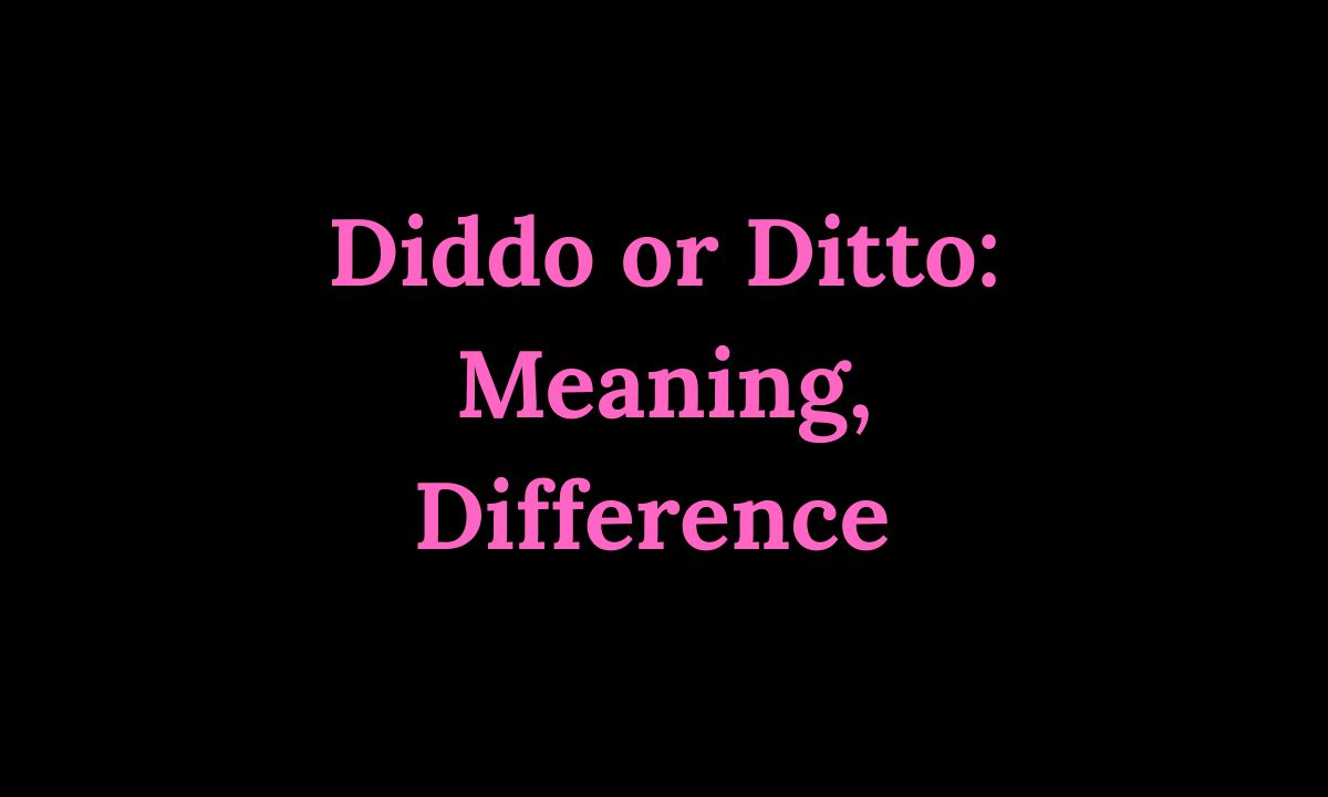 Diddo or Ditto Meaning, Difference & Correct Usage 2026