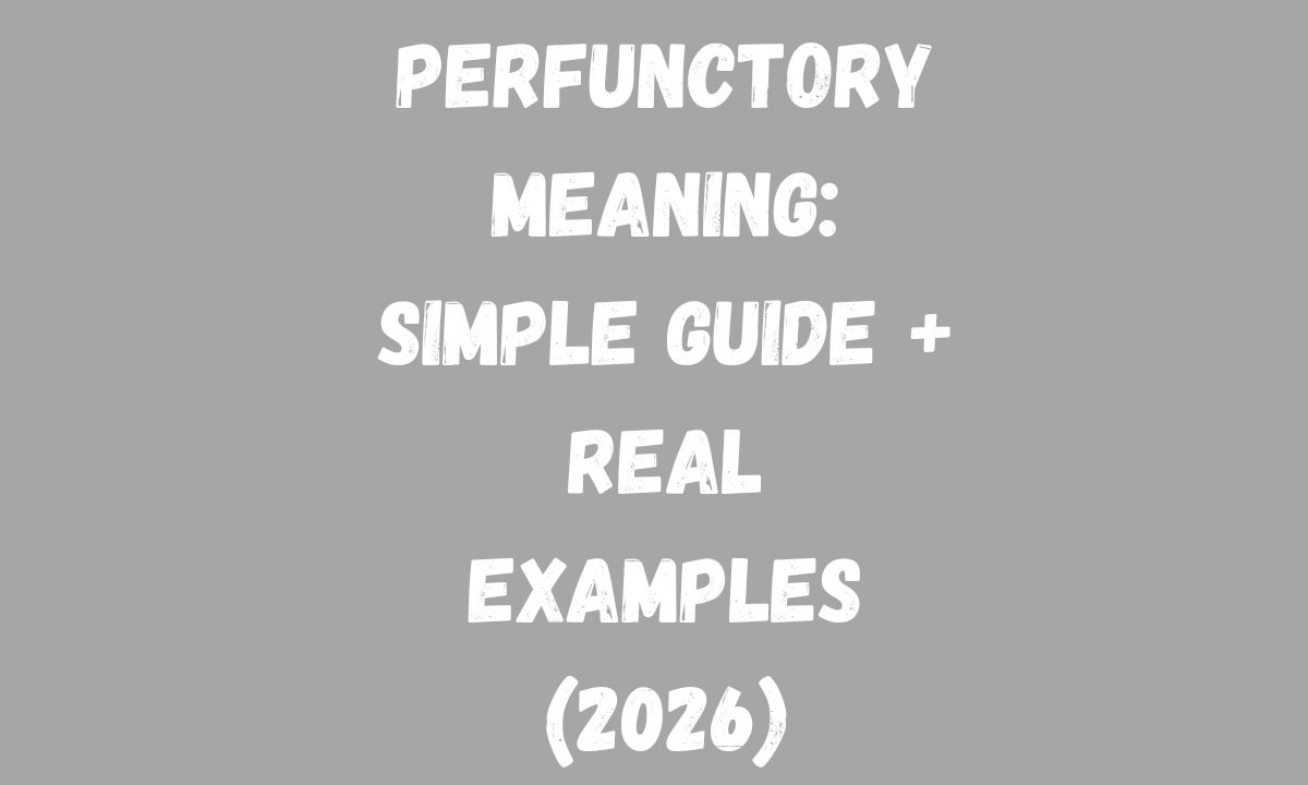 Perfunctory Meaning Simple Guide + Real Examples (2026)