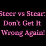 Steer vs Stear Don’t Get It Wrong Again!