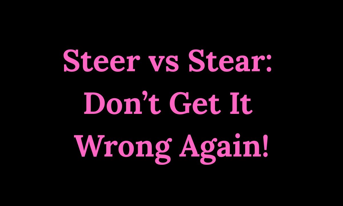 Steer vs Stear Don’t Get It Wrong Again!