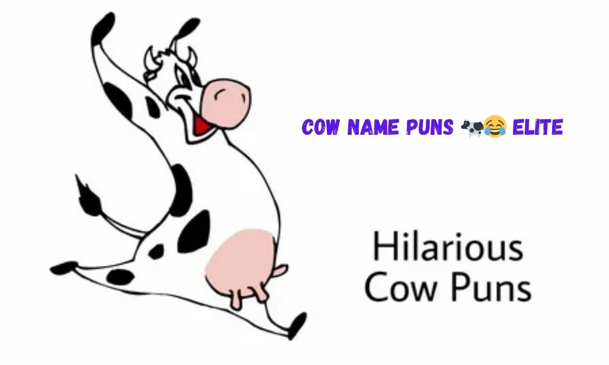 You Won’t Stop Laughing at These 50 Cow Name Puns 🐄😂 Elite