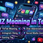 DHZ Meaning in Text