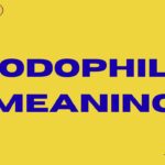 Hodophile Meaning The Ultimate Guide for Travel Lovers