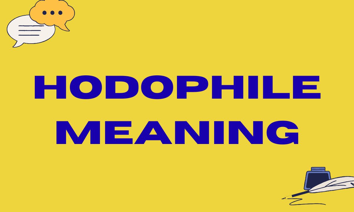 Hodophile Meaning The Ultimate Guide for Travel Lovers