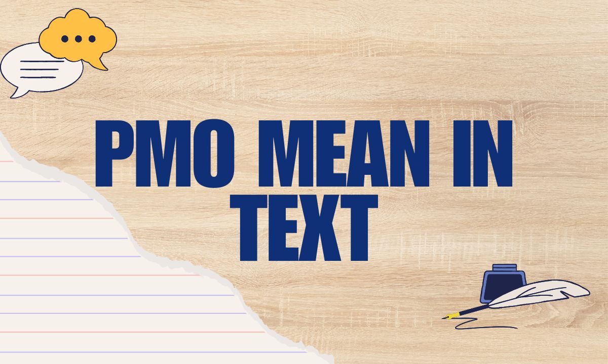 PMO Mean in Text Explained Real Meaning, Uses, Examples