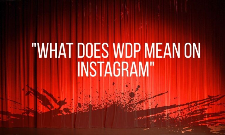 What Does WDP Mean on Instagram Full Meaning, Uses ,Chat