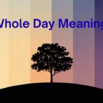 Whole Day Meaning Simple Definition, Usage, Examples