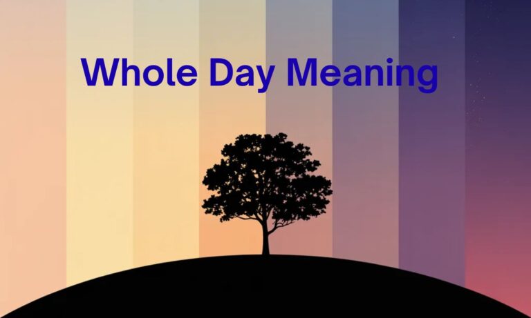 Whole Day Meaning Simple Definition, Usage, Examples