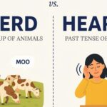 Herd or Heard Learn the Difference with Easy Examples